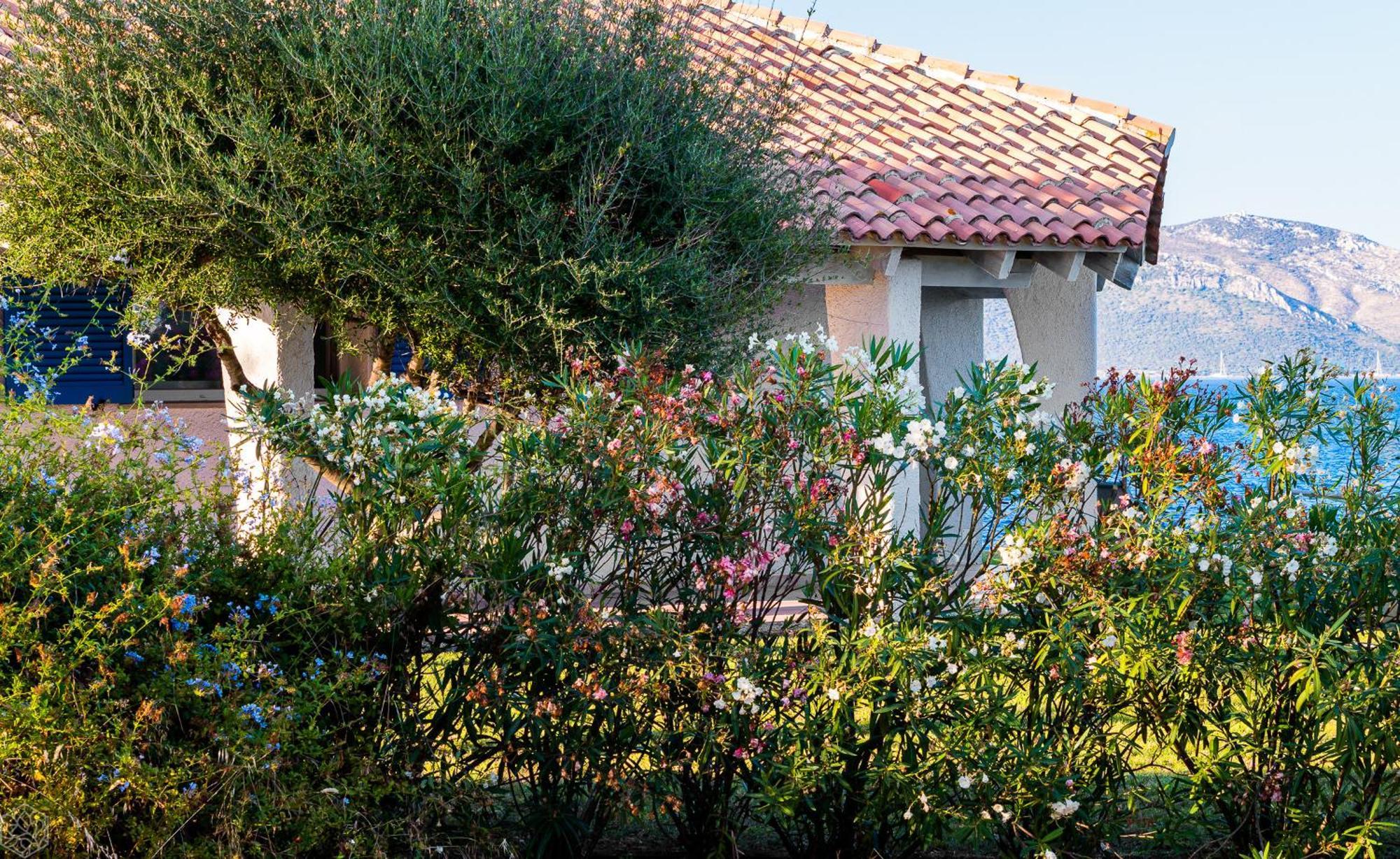 Miriam - Klodge Villa